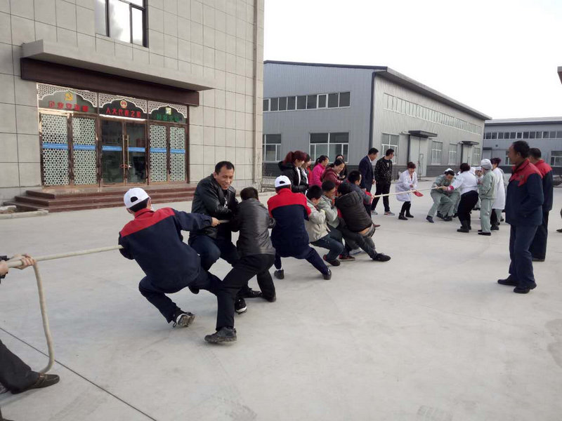 銀川伊百盛生物工程有限公司 銀川伊百盛生物工程有限公司