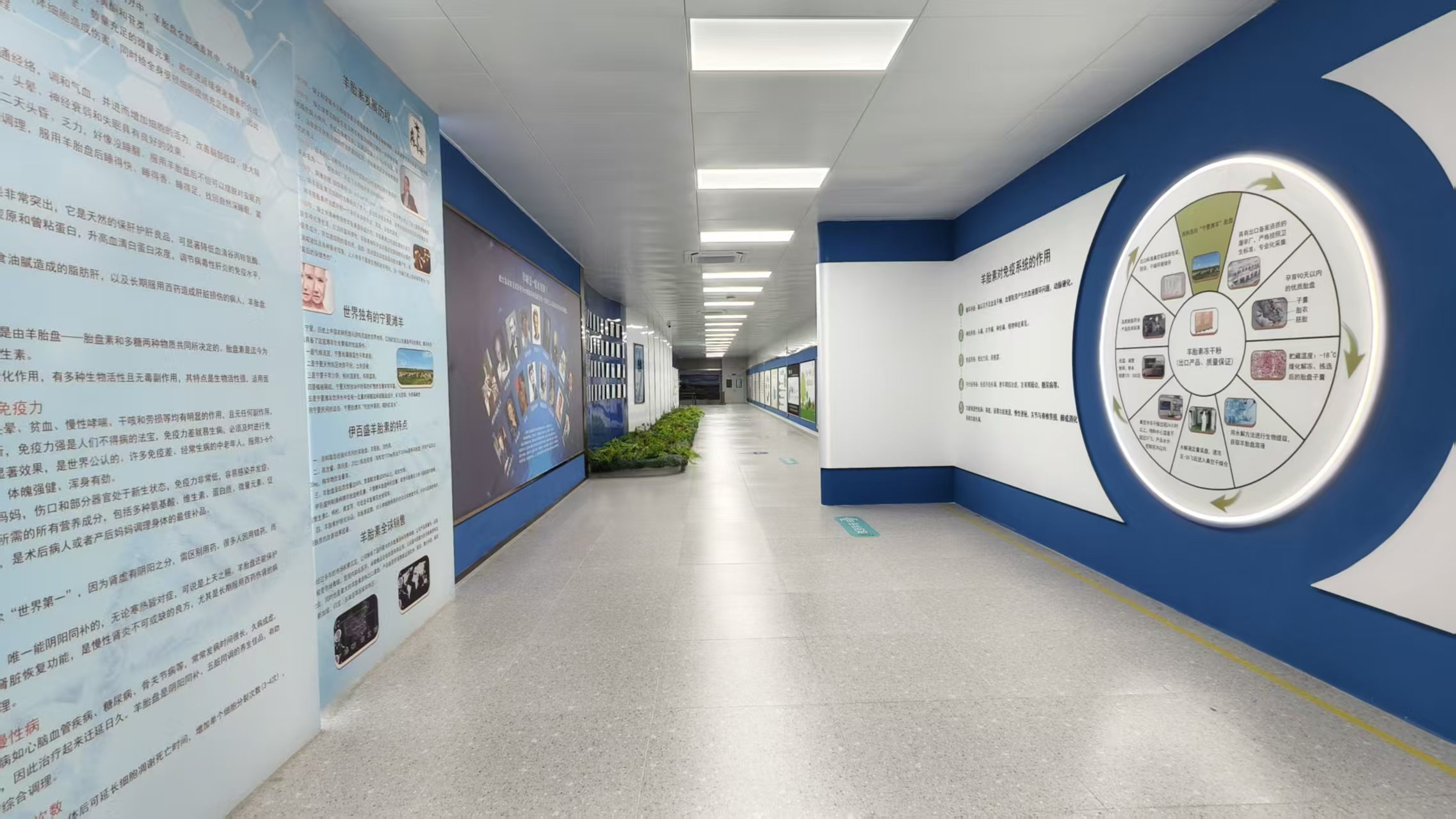 銀川伊百盛生物工程有限公司