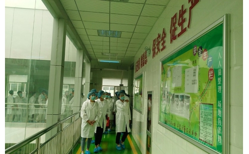 值公司成立十周年慶典，公司贊助萬名老人免費游寧夏系列活動