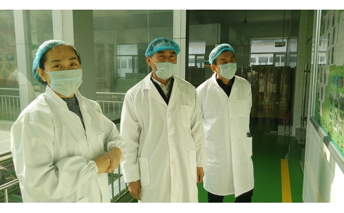 銀川市金鳳區工業集中區黨工委書記張勝利一行蒞臨公司參觀、調研