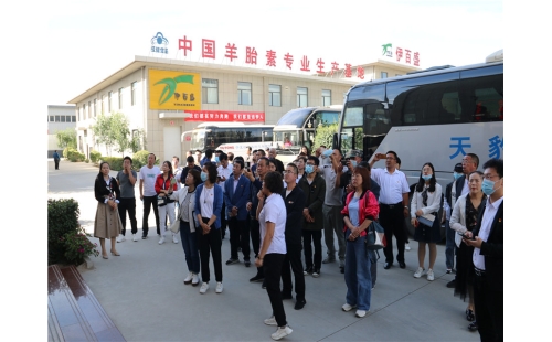 固原市原州區委組織部一行蒞臨公司觀摩非公黨建工作