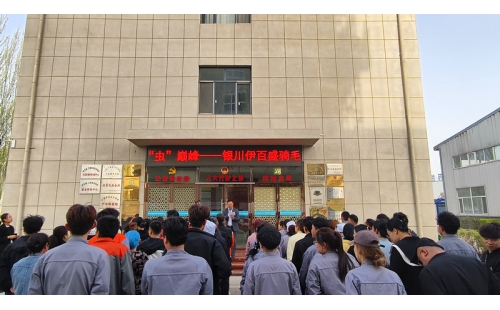 同“騎”并進，勇“蟲”巔峰——銀川伊百盛舉辦趣味健身活動