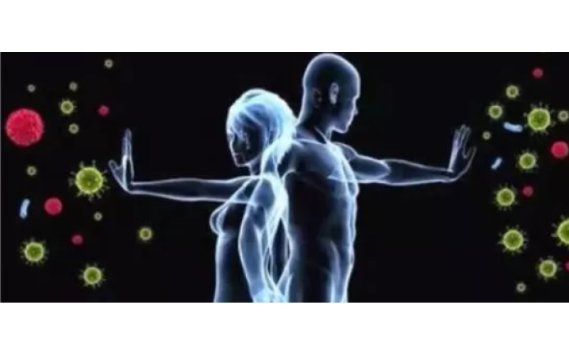 為什么補的是肽而不是氨基酸？