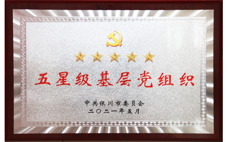 喜報！伊百盛黨支部榮獲“五星級基層黨組織”稱號
